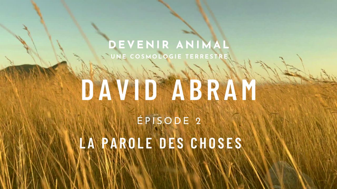 Épisode 2 : LA PAROLE DES CHOSES