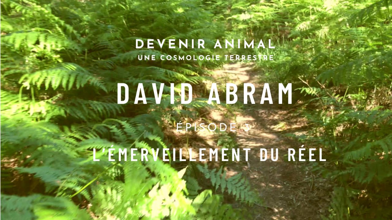 Épisode 3 : L' EMERVEILLEMENT DU REEL