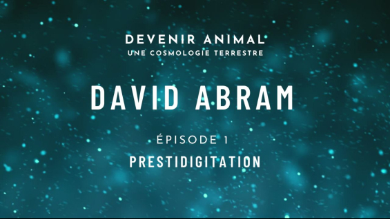 Épisode 1 : PRESTIDIGITATION